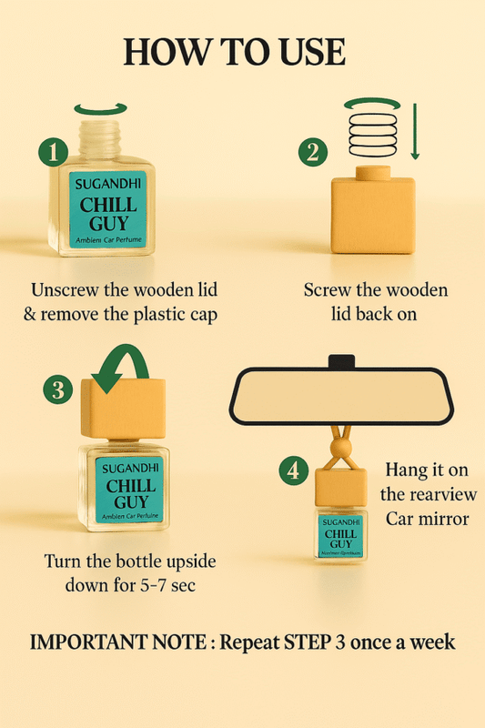 Chill Guy Inspired by BVLGARI Aqua Amara