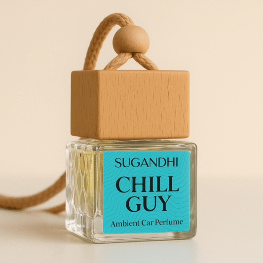 Chill Guy Inspired by BVLGARI Aqua Amara